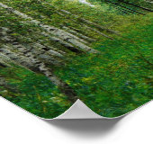 Mooi vogelbos poster (Hoek)