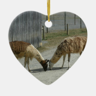 MOOI, VREEDZAME, LLAMAS. KERAMISCH ORNAMENT