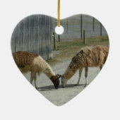MOOI, VREEDZAME, LLAMAS. KERAMISCH ORNAMENT (Achterkant)