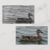 Mooi Vrouw Mallard Duck Visitekaartje (Voorkant / Achterkant)