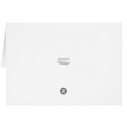 Mooi Waterfront Walkway Wenskaart (Achterkant Horizontaal)