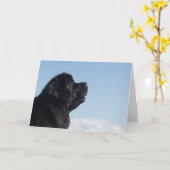 mooi wenskaart voor nieuwbouw kaart (Gele Bloem)