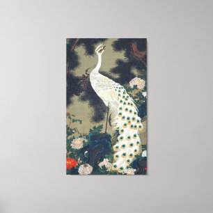 Mooi White Peacock Japans Canvas Afdruk