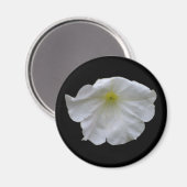 Mooi White Petunia Magnet (Voorkant / Achterkant)