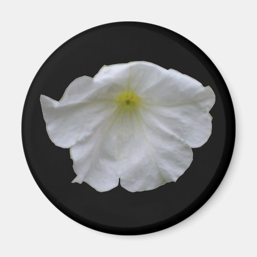 Mooi White Petunia Magnet (Voorkant)