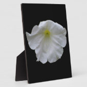 Mooi White Petunia Plaque Fotoplaat (Zijkant)