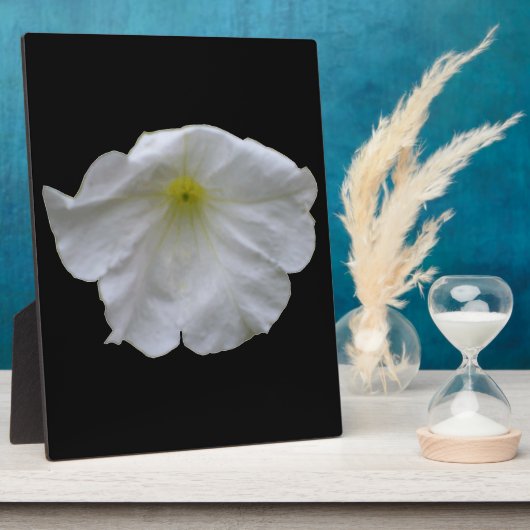 Mooi White Petunia Plaque Fotoplaat (Zijkant)