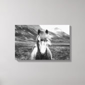 Mooi wild paard zwart en wit canvas afdruk (Voorkant)