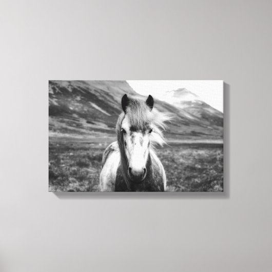 Mooi wild paard zwart en wit canvas afdruk (Voorkant)