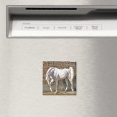 Mooi wit arabisch paard magneet (Insitu (Vaatwasser))