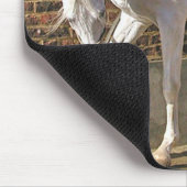 Mooi, wit Arabisch paard Muismat (Hoek)