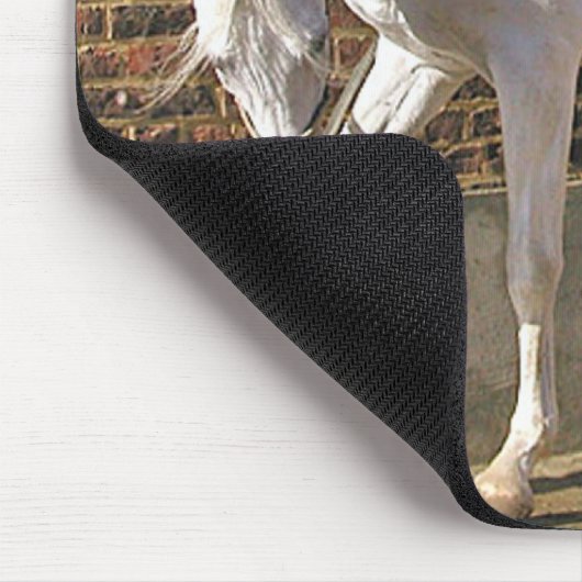 Mooi, wit Arabisch paard Muismat (Hoek)