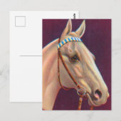 mooi wit paard briefkaart (Voorkant / Achterkant)