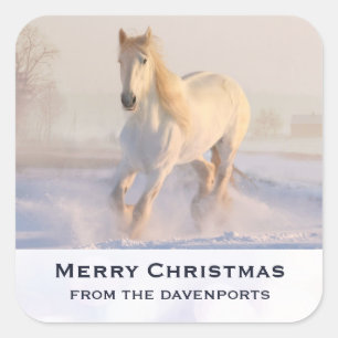 Mooi wit paard galopperen in de sneeuw Kerstmis Vierkante Sticker