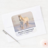 Mooi wit paard galopperen in de sneeuw Kerstmis Vierkante Sticker (Envelop)