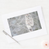 Mooi wit sneeuw uil ontwerp rechthoekige sticker (Envelop)