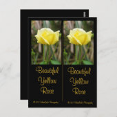 Mooi Yellow Rose Bladwijzer Briefkaart (Voorkant / Achterkant)