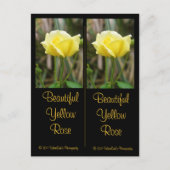 Mooi Yellow Rose Bladwijzer Briefkaart (Voorkant)