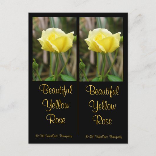 Mooi Yellow Rose Bladwijzer Briefkaart (Voorkant)