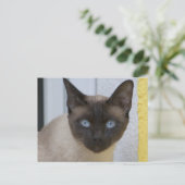 Mooi zegel, Siamese kat Briefkaart (Staand voorkant)