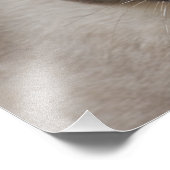 Mooi zegel, Siamese kat Foto Afdruk (Hoek)