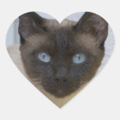Mooi zegel, Siamese kat Hart Sticker (Voorkant)