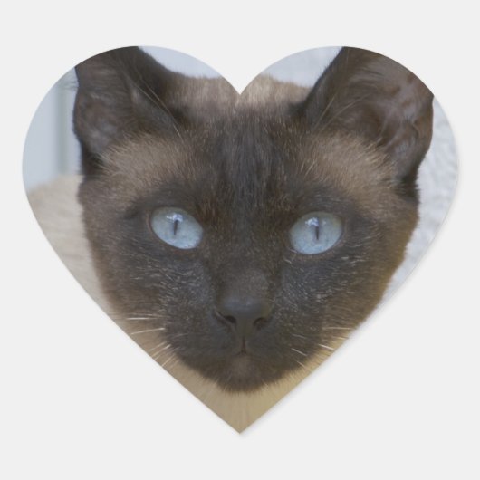 Mooi zegel, Siamese kat Hart Sticker (Voorkant)