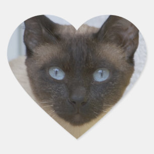 Mooi zegel, Siamese kat Hart Sticker