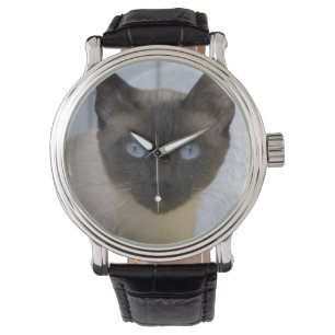 Mooi zegel, Siamese kat Horloge