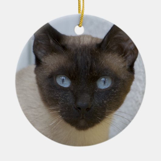 Mooi zegel, Siamese kat Keramisch Ornament (Voorkant)