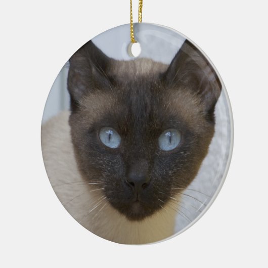 Mooi zegel, Siamese kat Keramisch Ornament (Links)