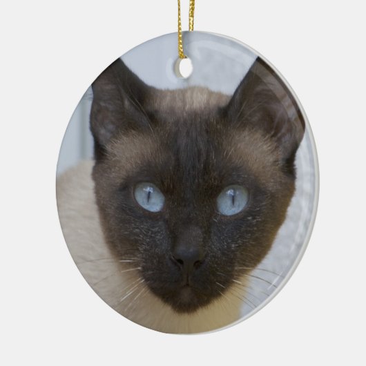 Mooi zegel, Siamese kat Keramisch Ornament (Links)