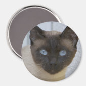 Mooi zegel, Siamese kat Magneet (Voorkant / Achterkant)