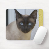 Mooi zegel, Siamese kat Muismat (Met muis)