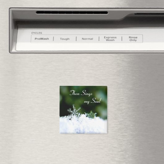 Mooi zingt mijn Soul Winter Snowflake Magnet (Insitu (Vaatwasser))