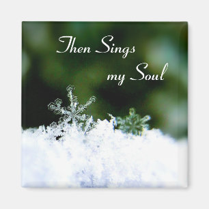 Mooi zingt mijn Soul Winter Snowflake Magnet
