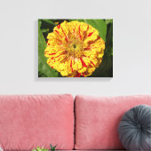 Mooi Zinnia Canvas Afdruk (Insitu (Woonkamer))