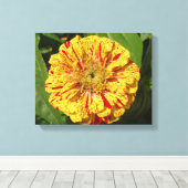 Mooi Zinnia Canvas Afdruk (Insitu (Houten vloer))