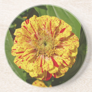 Mooi Zinnia Zandsteen Onderzetter