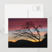 Mooi zonsondergangbriefkaart briefkaart (Voorkant / Achterkant)