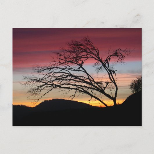 Mooi zonsondergangbriefkaart briefkaart (Voorkant)