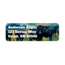 Mooi zwart Angus vee