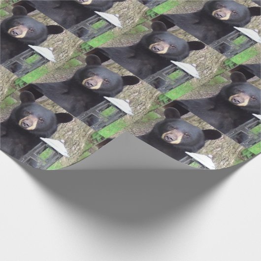 Mooi zwart Beer Cadeaupapier (Hoek)