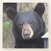 Mooi zwart Beer Glazen Onderzetter (Voorkant)