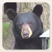 Mooi zwart Beer Kartonnen Onderzetters (Voorkant)