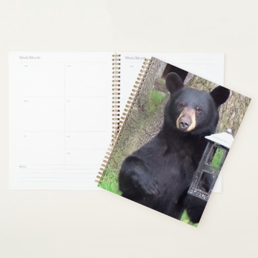 Mooi zwart Beer Planner (Display)