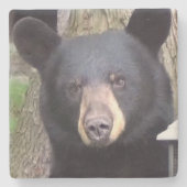 Mooi zwart Beer Stenen Onderzetter (Voorkant)