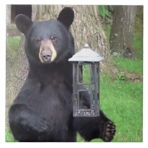 Mooi zwart Beer Tegeltje