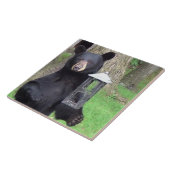 Mooi zwart Beer Tegeltje (Zijkant)