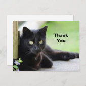 Mooi zwart kat foto bedankt briefkaart (Voorkant / Achterkant)